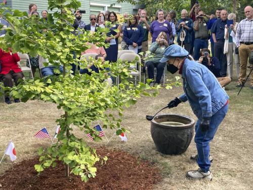 Hideko waters the Ginkgo tree with the audience looking on in the background
